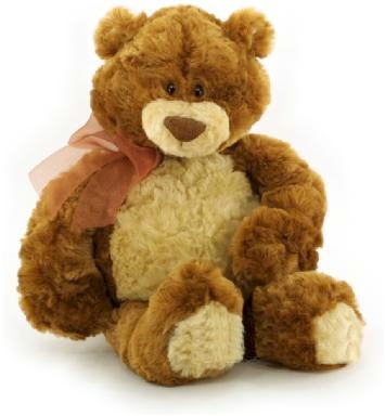 teddy bear pictures. Meet My Teddy Bear